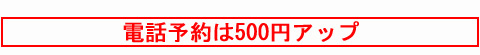 電話予約は＋500円アップ